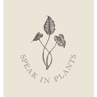 Speak in Plants logo - Similar company to Greda Estudio
