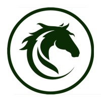 PKB Digital logo - Similar company to Racing X