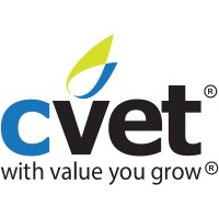Cvet Llc (Customer Value Expert Toolset)