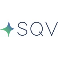 SQV International logo - Similar company to Steerquest
