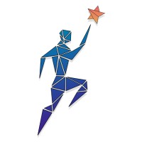 DSOL GLOBAL logo - Similar company to Coderzbot Innovations