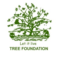 Tree Foundation logo - Similar company to Tree Foundation