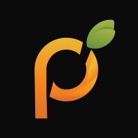 Papaya Technologies logo - Similar company to Papaya Technologies