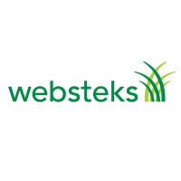 Websteks logo - Similar company to Hca Groep