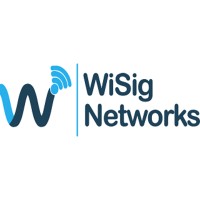 WiSig Networks logo - Similar company to Compilit