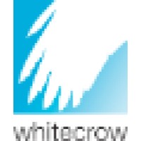 White Crow logo - Similar company to White Crow Llc