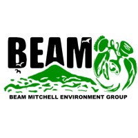 Beam Mitchell Environment Group Inc
