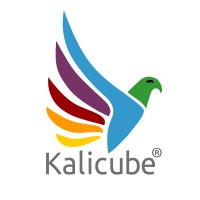 Kalicube logo - Similar company to Tracklution