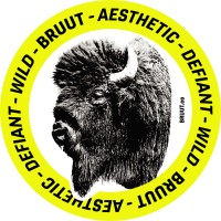 BRUUT inc logo - Similar company to Cinezee