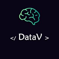 DataV logo - Similar company to Conre-1 Conselho Regional De Estatística