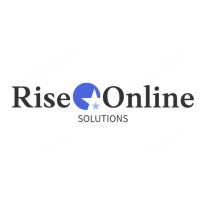 Rise Online Solutions logo - Similar company to Metallion Industries Inc