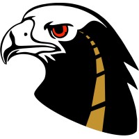 Black Eagle Transportation logo - Similar company to Black Eagle Trans Inc