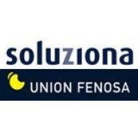 Soluziona Consulting. Unión Fenosa Group. logo - Similar company to Murillo Army