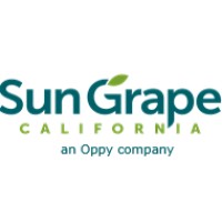 Sun Grape California logo - Similar company to Prima Frutta