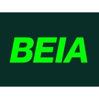 Built Environment Insights Africa logo - Similar company to Visions2Ventures