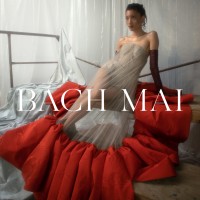 Bach Mai logo - Similar company to Iseder