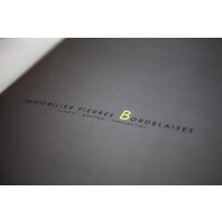 immobilier pierres Bordelaises logo - Similar company to Neo Conseil Immobilier