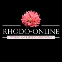 Rhodo-Online