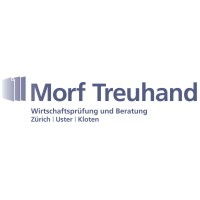Morf Treuhand AG logo - Similar company to Flextax Ag