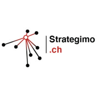 Strategimo Sàrl logo - Similar company to Conseil Project