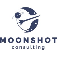 Moonshot Consulting logo - Similar company to Vanas Engineering Bv