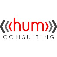 Hum Consulting logo - Similar company to Hum Consulting (India)