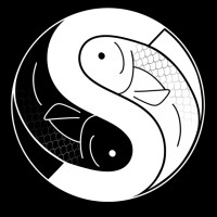 Salmon Studios logo - Similar company to Alongside/ Global