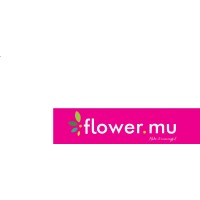 Flower.mu - Flower delivery in Mauritius logo - Similar company to Coffee Bar Ventures