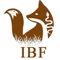 Indigenous Biodiversity Foundation logo - Similar company to Chatur Ullu Lab