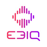 E3IQ logo - Similar company to Developer Jobs - Remote