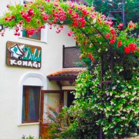 Otel Dilek Konağı Sapanca logo - Similar company to Otel Düzce Sürur & Spa