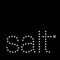 Salt Branding: Now Material logo - Similar company to Thunder Factory