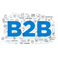 B2B  Solutions Company logo - Similar company to Echoes - The Technology Company