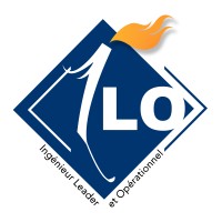 Ilo Madagascar logo - Similar company to E261 Consulting