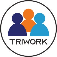 Triwork Sp. z o.o. logo - Similar company to Nowima