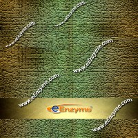eEnzyme, LLC logo - Similar company to Vrl Laboratories