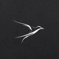 Kinevo Dynamics A.Ş. logo - Similar company to Deep Think Technology Yazılım Limited Şirketi