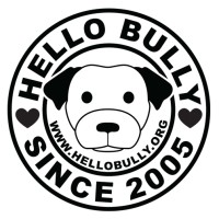 Hello Bully