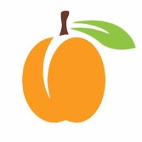 Apricot Apparels logo - Similar company to De Trend India