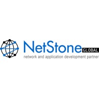 NetStone Global Ltd logo - Similar company to Insight Solutions