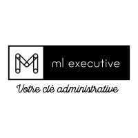ML EXECUTIVE logo - Similar company to A-Live
