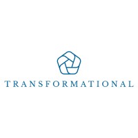 Transformational Investment Holdings logo - Similar company to Aservin Export S.A.S.