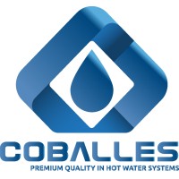 DEPOSITOS COBALLES S.L logo - Similar company to Evocell & Mobius S.R.L.