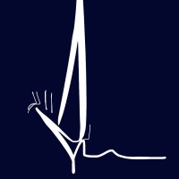 Moogli Sailing Team logo - Similar company to Team4You.Fr