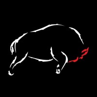 Bufalo Ajans logo - Similar company to Key Vfx