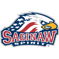 Saginaw Spirit Hockey Club logo - Similar company to Lansing Lugnuts