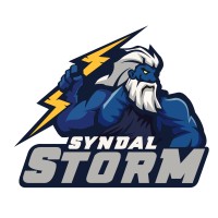 Syndal Storm Basketball Club logo - Similar company to Special Olympics - Melbourne Inner East
