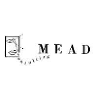Mead Consulting