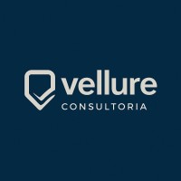 Vellure Consultoria logo - Similar company to Trinômio | Planning As A Service