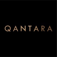 Qantara Private Capital logo - Similar company to Visual Magic Sa
